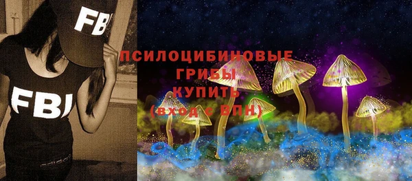 хмурый Алзамай