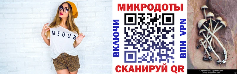 Галлюциногенные грибы Cubensis Арамиль